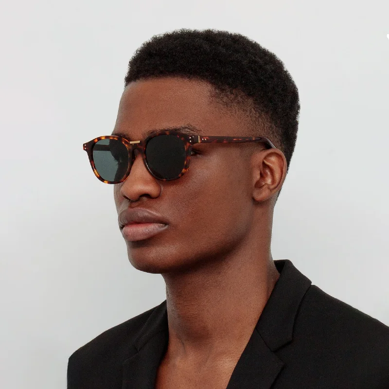 sunglasses summer must have -Men's Powell D-Frame Sunglasses in Tortoiseshell