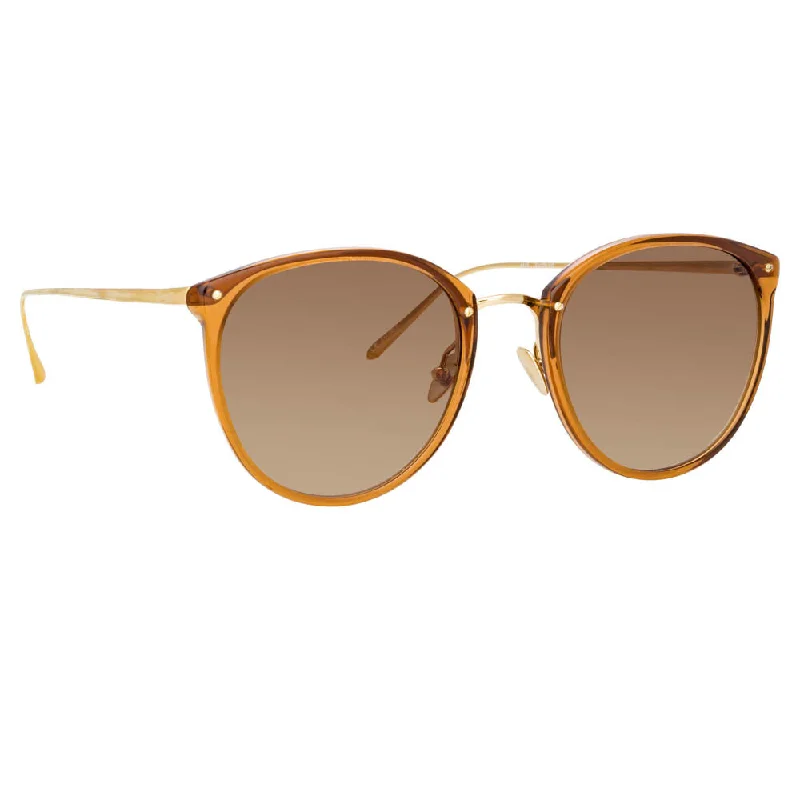 sunglasses outdoor adventure -Calthorpe Sunglasses in Brown Frame (C75)